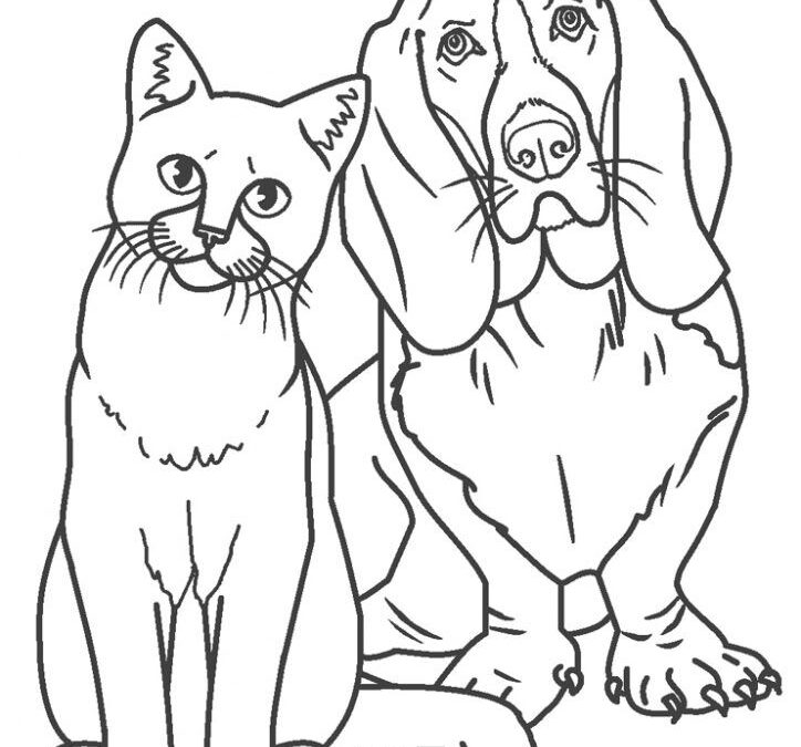 Events- coloring contest at Headwaters Animal Shelter